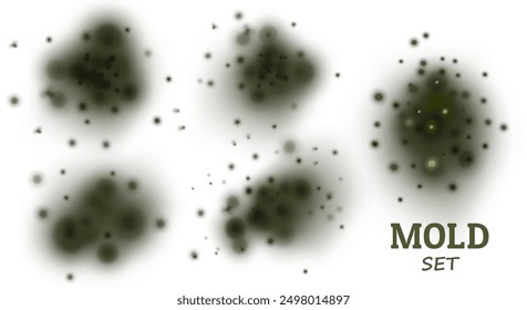 Set Black mold. Fungus, the wall of an apartment, a house, poisonous spores. Toxic health effects. Spot in the center on a light background. Vector realistic illustration.