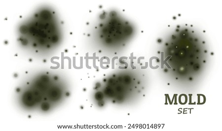 Set Black moldy texture. Fungus, the wall of an apartment, a house, poisonous spores. Toxic health effects. Spot in the center on a light background. Vector realistic illustration.