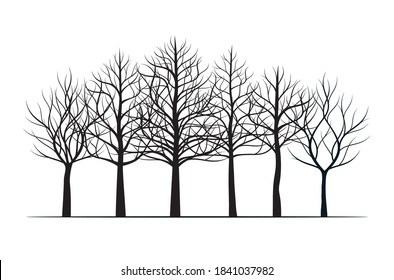 A set of black naked Trees. Vector outline Illustration. Plant and Garden.