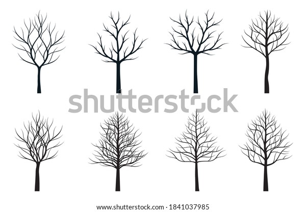 A Set Of Black Naked Trees Vector Outline Illustration Plant And Garden