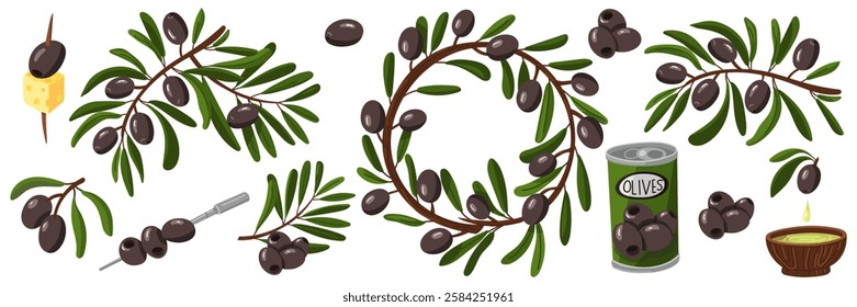 set of black olive branches. Various branches with fruits, oil and leaves. Flat color illustration on a white background. Products with branches, olives. Whole foods for making fresh meals