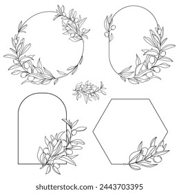 Set of black Olive frames branches. Olive branches frames and wreaths line art hand drawn.Vintage collection. Vector decorative elements. Leaves; swirls; ornate; for labels; wedding invitation