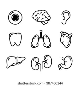 Set of black outline icons of humans organs isolated on white
