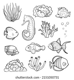 Set of black outline illustrations of underwater creatures, world with coral reefs, tropical fishes, sea-horse. Vector images for coloring