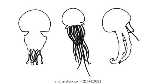 Set black outline jellyfish, medusa, sea jelly or nettle-fish sign icon on white background. Vector clipart illustration