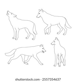 Set of black outline wolves. Isolated black line wolves on white background. Page of coloring book.
