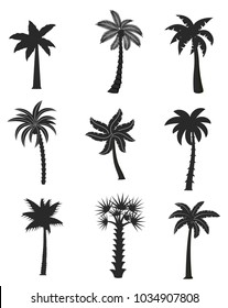 Set of black palm icons isolated on white background. Vector illustration with different shapes palm