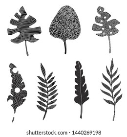 Set of black palm, monstera jungle leaves  Vector jungle leaves for wallpaper, fabric, prints, cards, packaging. Tropical exotic leaves on white isolated background.