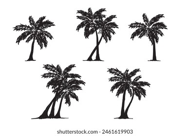 Set of Black palm trees hand drawn doodle isolated on white background. Palm silhouettes. Design of palm trees for posters, banners or promotional items. Vector illustration
