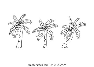 Set of Black palm trees hand drawn doodle isolated on white background. Palm silhouettes. Design of palm trees for posters, banners or promotional items. Vector illustration
