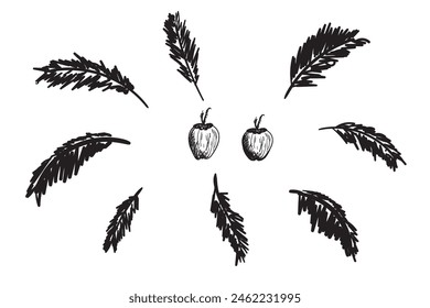 Set von Schwarzen Palmen Hand gezeichnete Doodle isoliert auf weißem Hintergrund. Palmsilhouetten. Design von Palmen für Poster, Banner oder Werbeartikel. Vektorillustration
