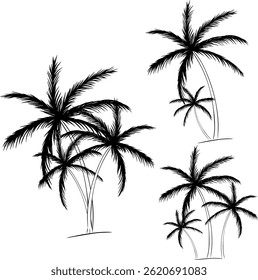 Set von Schwarzen Palmen handgezeichnete Komposition Set. Vektorgrafiklinien-Freihandeingabe einzeln. Palmsilhouetten. Gestaltung von Palmen für Poster, Banner oder Werbeartikel.
