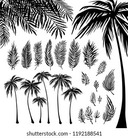 set of black Palm trees silhouette and branches on a white background. Vector illustration, design element for congratulation cards, print, banners and others