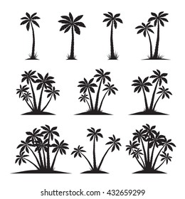 Set of Black Palm Trees. Vector illustration on white background