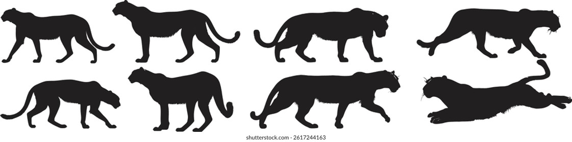 a set of black panther silhouettes in different poses, including walking, resting, leaping, and stalking on white background