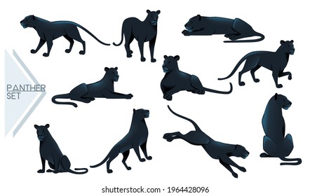 Set of Black panther wild big cat african jungle hunter cartoon animal design vector illustration on white background