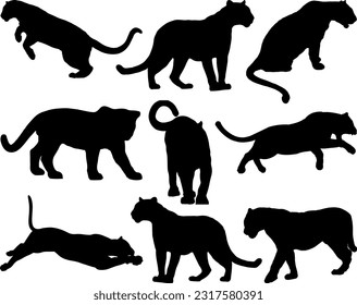 Set of Black Panthers Silhouette