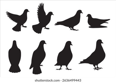 A set of black pigeon silhouettes in a variety of natural poses including flying, walking, standing, and resting. These bird outlines are perfect for graphic design, nature-themed illustrations, logos