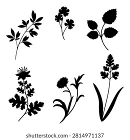 A set of black plant silhouettes including leaves, flowers, and stems suitable for botanical, nature, or floral design projects.