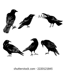 Set of black raven bird icon character vector illustration.