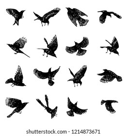 Set of black raven birds, hand drawn crows flock. Drawing sketch. Vector.