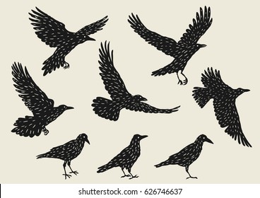 Set of black ravens. Hand drawn inky birds.