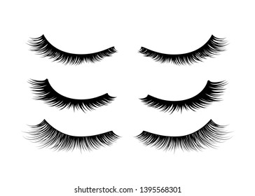 Set of black realistic detailed eyelashes isolated on white