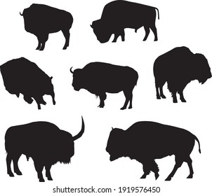 Conjunto de siluetas realistas negras de bisonte estadounidense aisladas en el fondo blanco. Ilustraciones vectoriales