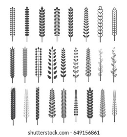 A set of black retro vintage spikelets of different sizes and shapes on a white background. Spike for graphic or printing awards and symbols.