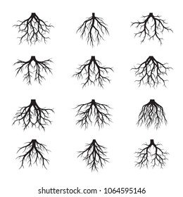 Set of Black Roots Tree. Vector Illustration.