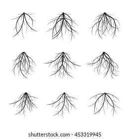 Set of Black Roots. Vector Illustration.