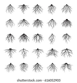 Set of black roots. Vector Illustration.