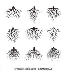 Set of Black Roots. Vector Illustration.