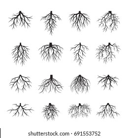 Set of Black Roots. Vector Illustration.