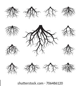 Set of Black Roots. Vector Illustration.