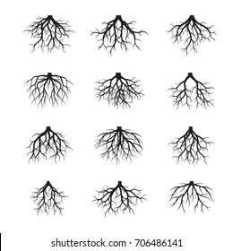 Set of Black Roots. Vector Illustration.