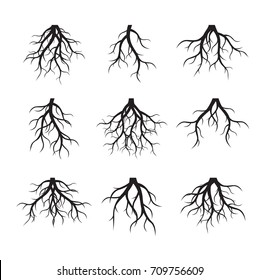 Set of Black Roots. Vector Illustration.