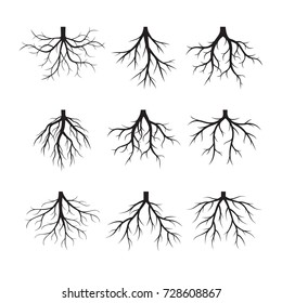 Set Black Roots. Vector Illustration.