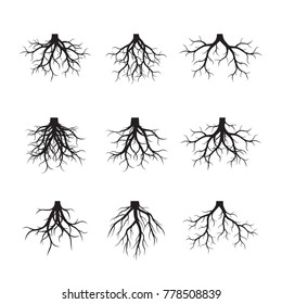 Set of black Roots. Vector Illustration.