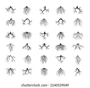 Set black Roots. Vector outline Illustration.