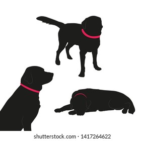 Set of black silhouette of big dog with collar on white background. Collection various forms, pose. Lies, sits, plays,walks, stand. Elements for design, pet shop, food for animals. Vector illustration