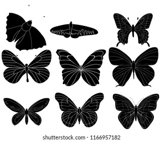  set black silhouette butterfly, insect