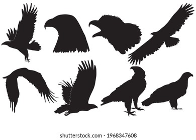 Set of Black silhouette Cartoon  wild eagle in isolate on a white background. Vector illustration.
