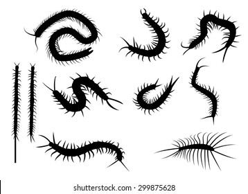 Set of black silhouette centipede in flat icon style. isolated on white background. vector illustration. Top view.