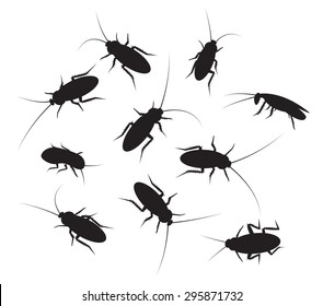 Set of black silhouette cockroach with detail, isolated on white background. Top and side view.