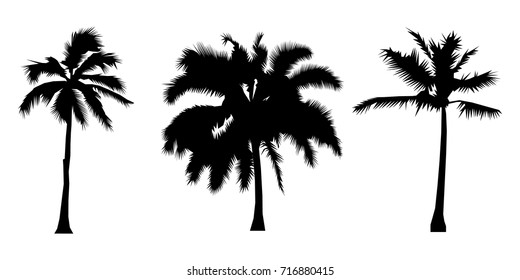 Set Black Silhouette Coconut Trees Natural Stock Vector (Royalty Free ...