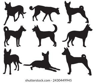 set of black silhouette dogs in various poses on white background, eps 10