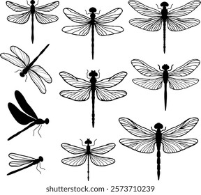 set of black silhouette of dragonfly. Vector illustration. Minimalist and delicate design. For logo, icons design