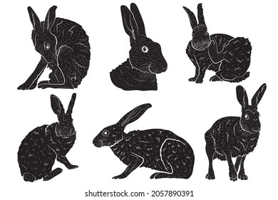 Set of black silhouette of a European hare isolated on a white background. Vector illustration.