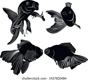 set black silhouette goldfish isolated on white background